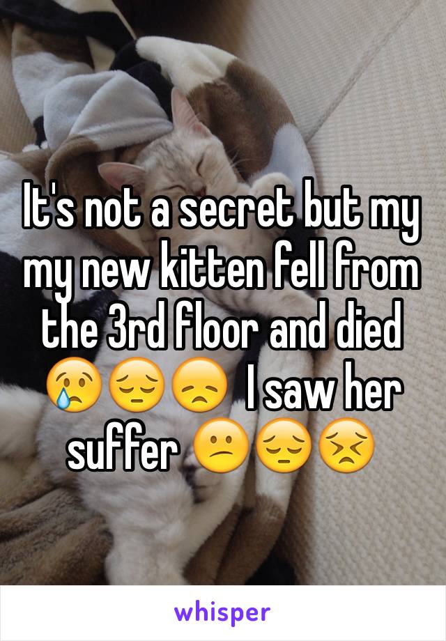 It's not a secret but my my new kitten fell from the 3rd floor and died 😢😔😞  I saw her suffer 😕😔😣