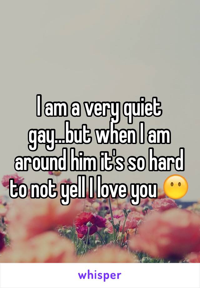 I am a very quiet gay...but when I am around him it's so hard to not yell I love you 😶