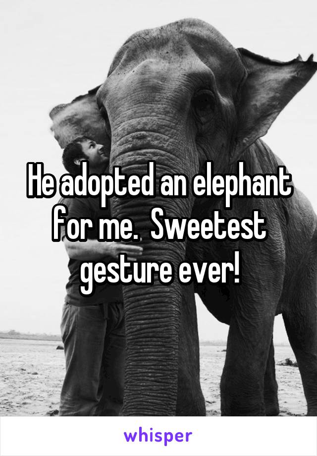 He adopted an elephant for me.  Sweetest gesture ever!