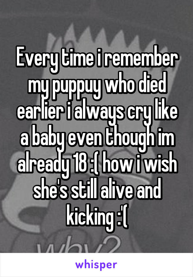 Every time i remember my puppuy who died earlier i always cry like a baby even though im already 18 :( how i wish she's still alive and kicking :'(