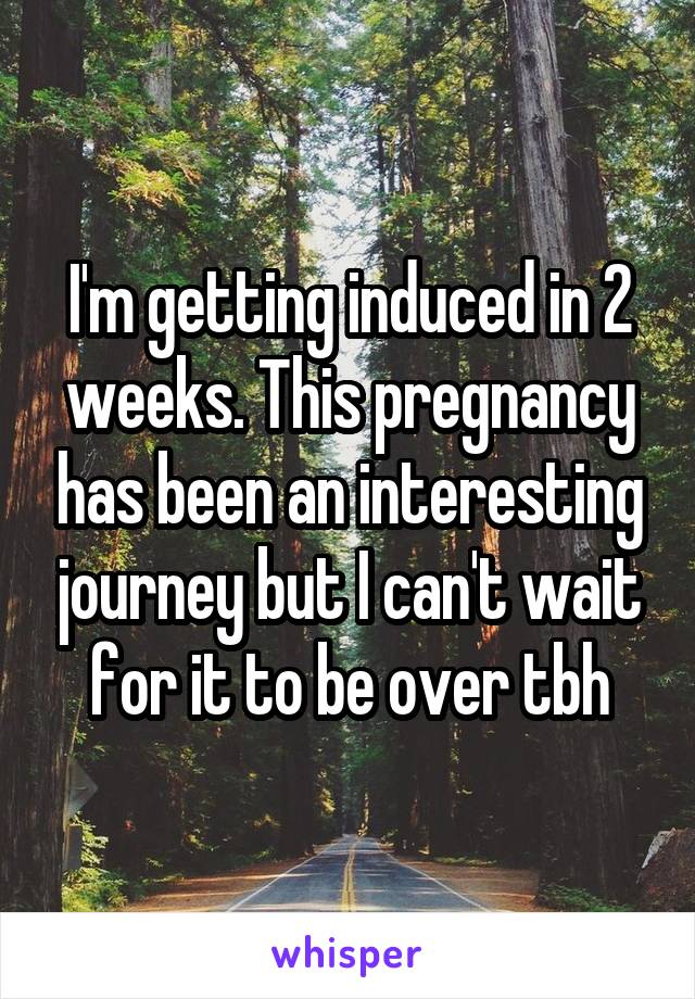 I'm getting induced in 2 weeks. This pregnancy has been an interesting journey but I can't wait for it to be over tbh