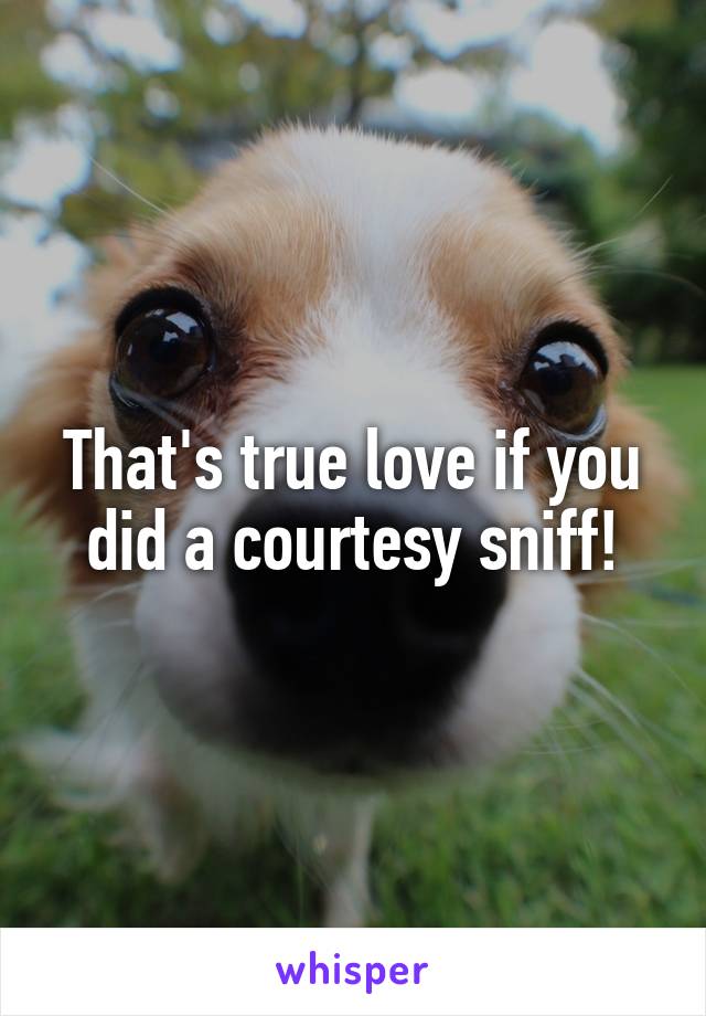 That's true love if you did a courtesy sniff!