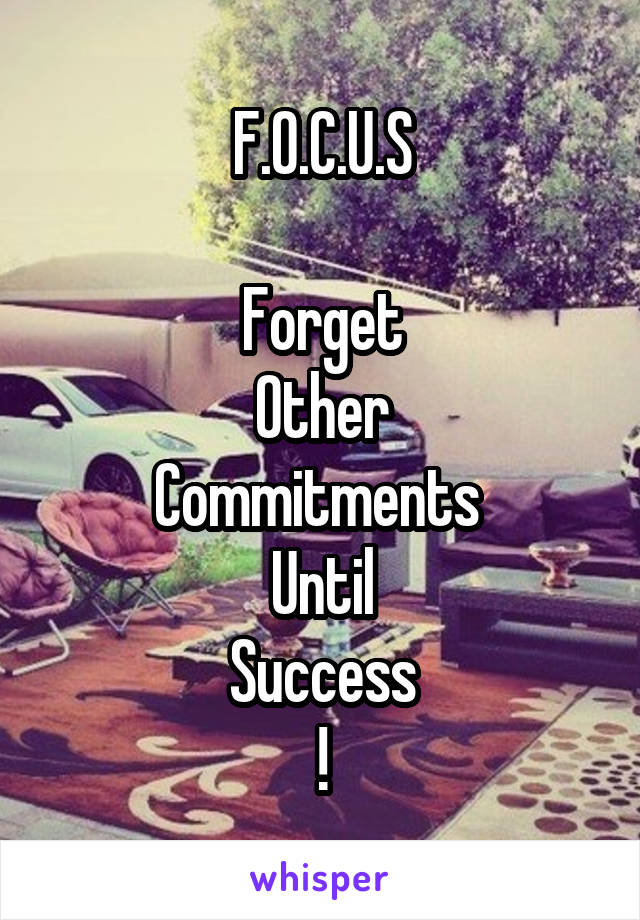 F.O.C.U.S

Forget
Other
Commitments 
Until
Success
!