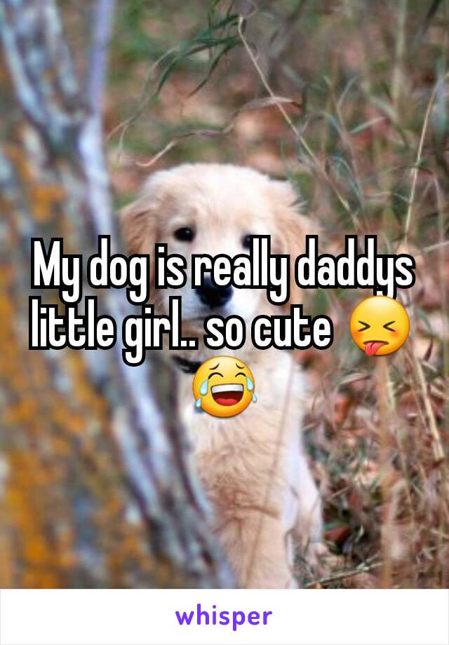 My dog is really daddys little girl.. so cute 😝😂