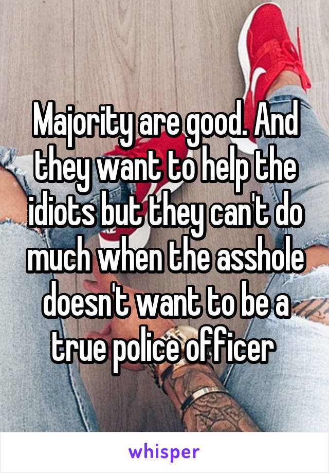 Majority are good. And they want to help the idiots but they can't do much when the asshole doesn't want to be a true police officer 