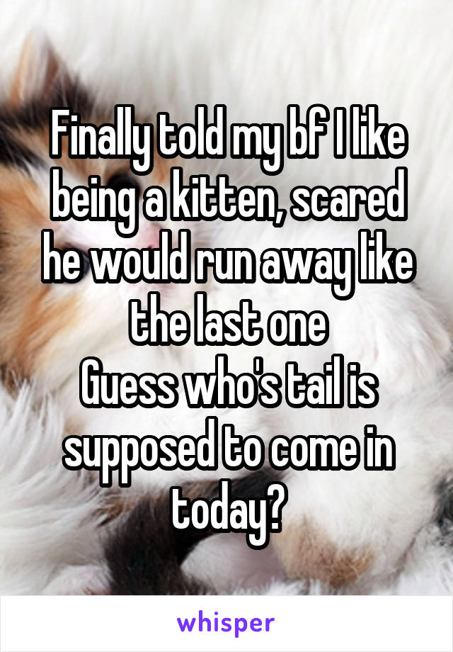 Finally told my bf I like being a kitten, scared he would run away like the last one
Guess who's tail is supposed to come in today?