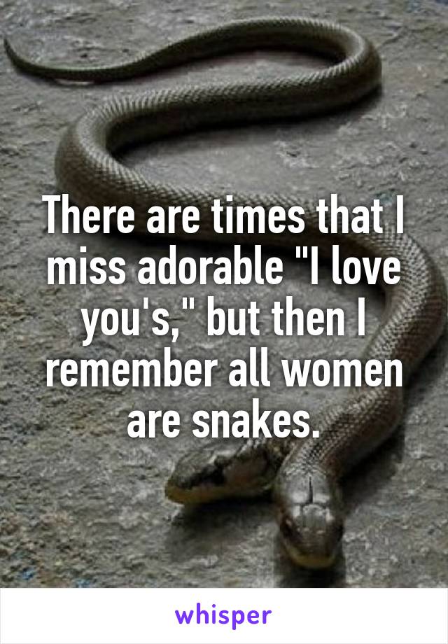 There are times that I miss adorable "I love you's," but then I remember all women are snakes.