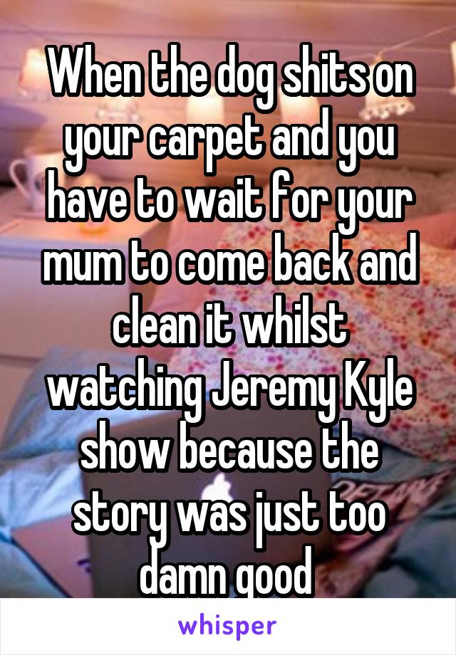 When the dog shits on your carpet and you have to wait for your mum to come back and clean it whilst watching Jeremy Kyle show because the story was just too damn good 