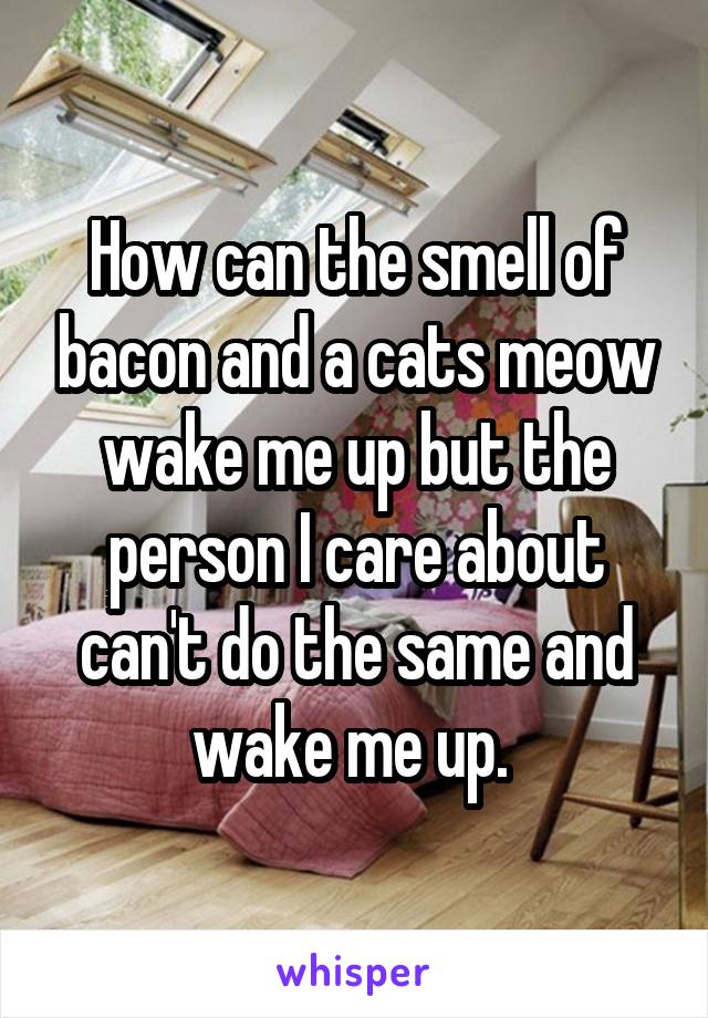 How can the smell of bacon and a cats meow wake me up but the person I care about can't do the same and wake me up. 