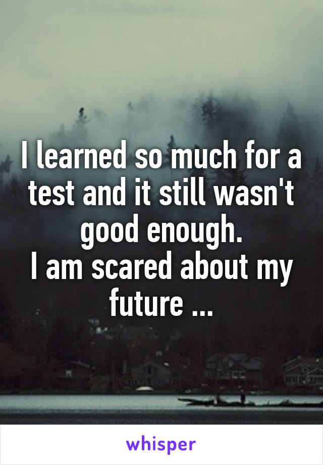 I learned so much for a test and it still wasn't good enough.
I am scared about my future ...