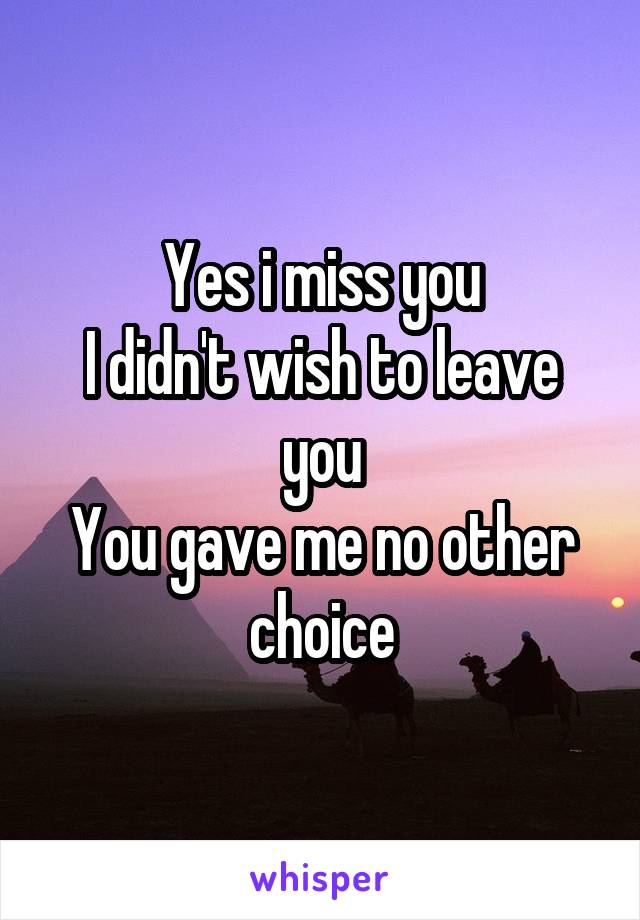 Yes i miss you
I didn't wish to leave you
You gave me no other choice