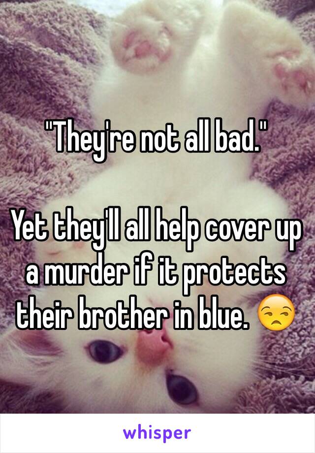 "They're not all bad."

Yet they'll all help cover up a murder if it protects their brother in blue. 😒