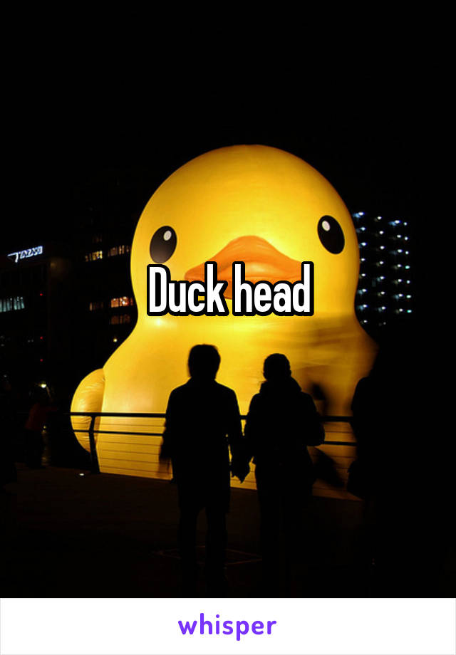 Duck head
