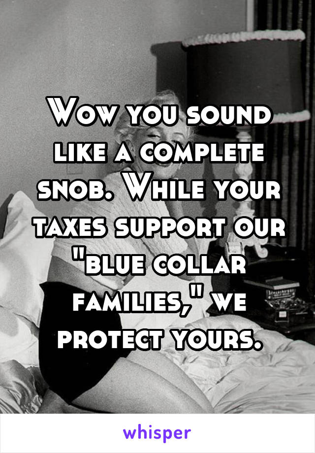 Wow you sound like a complete snob. While your taxes support our "blue collar families," we protect yours.