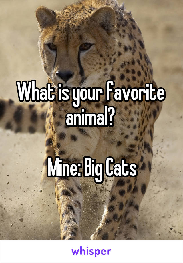 What is your favorite 
animal? 

Mine: Big Cats