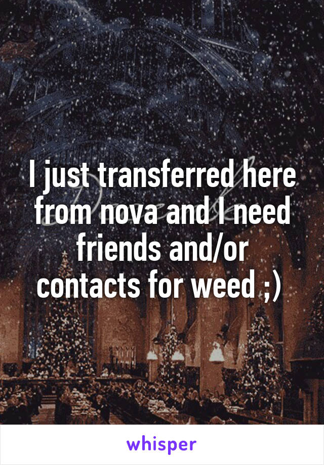 I just transferred here from nova and I need friends and/or contacts for weed ;) 