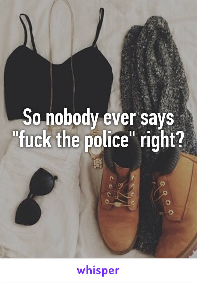 So nobody ever says "fuck the police" right? 