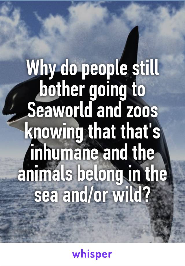 Why do people still bother going to Seaworld and zoos knowing that that's inhumane and the animals belong in the sea and/or wild?