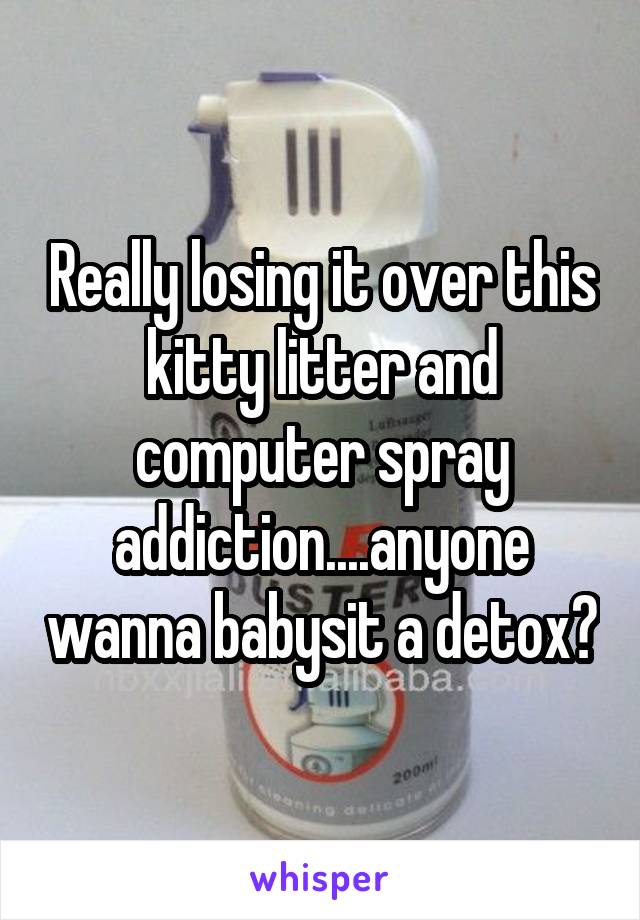 Really losing it over this kitty litter and computer spray addiction....anyone wanna babysit a detox?