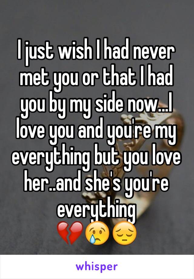 I just wish I had never met you or that I had you by my side now...I love you and you're my everything but you love her..and she's you're everything 
💔😢😔