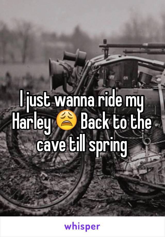 I just wanna ride my Harley 😩 Back to the cave till spring