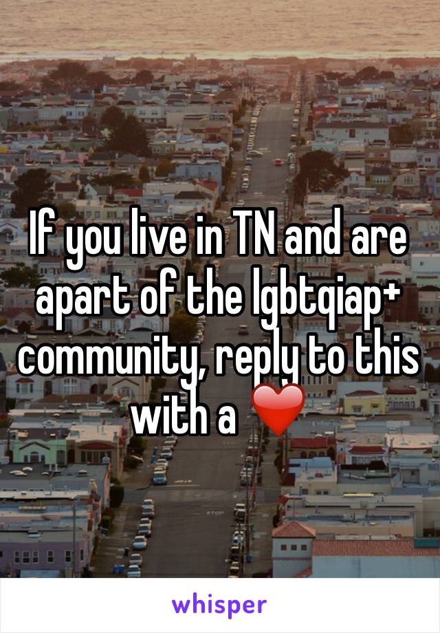 If you live in TN and are apart of the lgbtqiap+ community, reply to this  with a ❤️