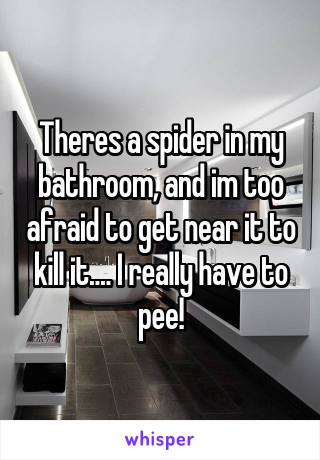 Theres a spider in my bathroom, and im too afraid to get near it to kill it.... I really have to pee!