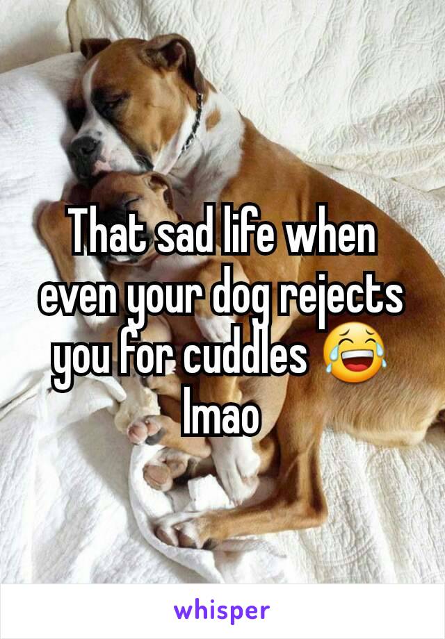 That sad life when even your dog rejects you for cuddles 😂 lmao