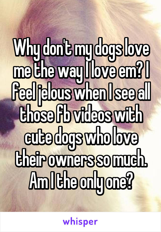 Why don't my dogs love me the way I love em? I feel jelous when I see all those fb videos with cute dogs who love their owners so much. Am I the only one?