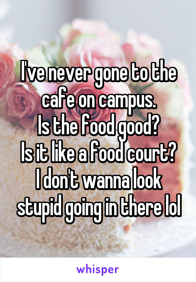 I've never gone to the cafe on campus.
Is the food good?
Is it like a food court?
I don't wanna look stupid going in there lol