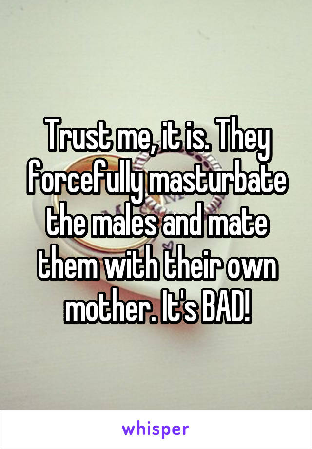 Trust me, it is. They forcefully masturbate the males and mate them with their own mother. It's BAD!