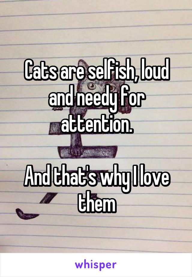 Cats are selfish, loud and needy for attention.

And that's why I love them