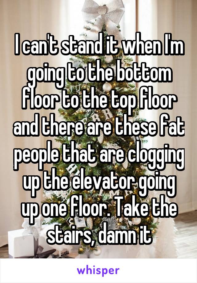 I can't stand it when I'm going to the bottom floor to the top floor and there are these fat people that are clogging up the elevator going up one floor. Take the stairs, damn it