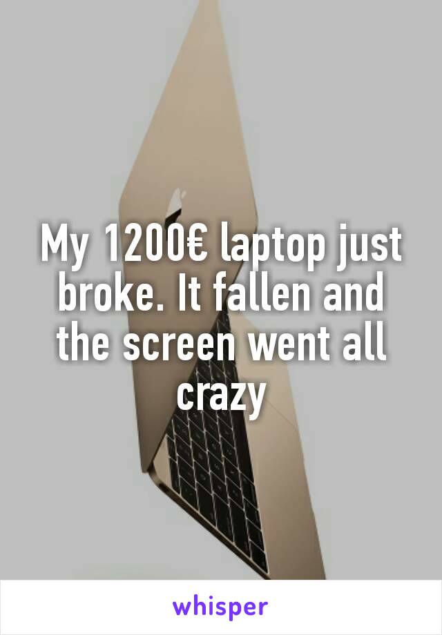 My 1200€ laptop just broke. It fallen and the screen went all crazy