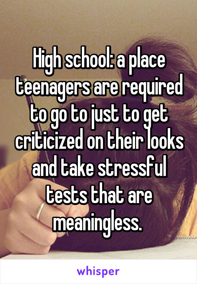 High school: a place teenagers are required to go to just to get criticized on their looks and take stressful tests that are meaningless. 