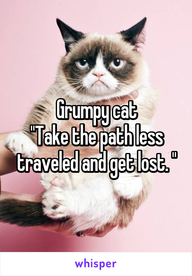 Grumpy cat
"Take the path less traveled and get lost. "