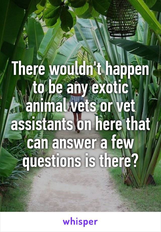 There wouldn't happen to be any exotic animal vets or vet assistants on here that can answer a few questions is there?