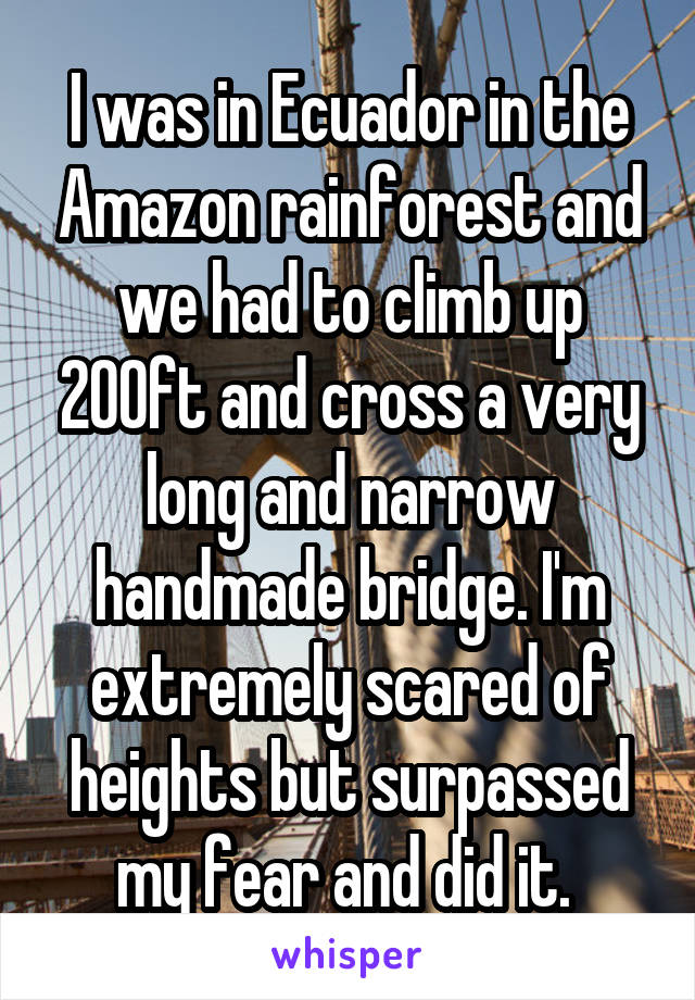 I was in Ecuador in the Amazon rainforest and we had to climb up 200ft and cross a very long and narrow handmade bridge. I'm extremely scared of heights but surpassed my fear and did it. 