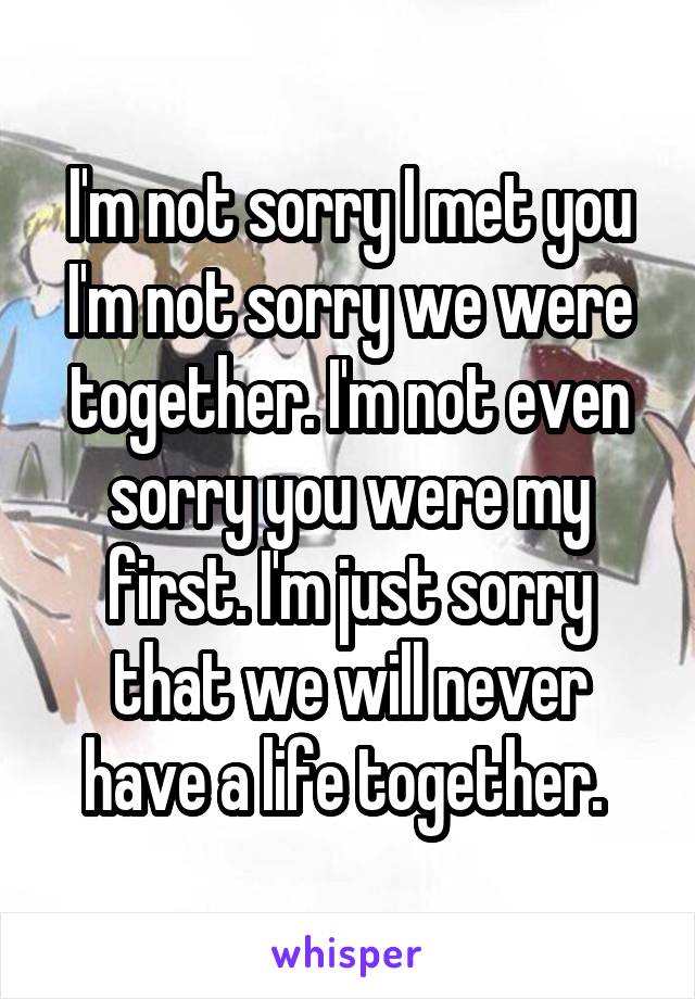 I'm not sorry I met you I'm not sorry we were together. I'm not even sorry you were my first. I'm just sorry that we will never have a life together. 