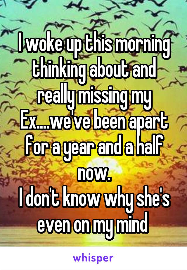 I woke up this morning thinking about and really missing my Ex....we've been apart for a year and a half now.
I don't know why she's even on my mind 