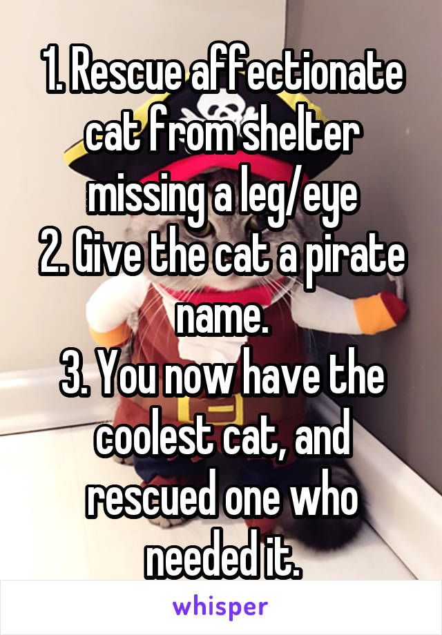 1. Rescue affectionate cat from shelter missing a leg/eye
2. Give the cat a pirate name.
3. You now have the coolest cat, and rescued one who needed it.