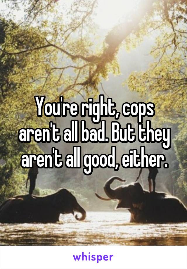 You're right, cops aren't all bad. But they aren't all good, either.