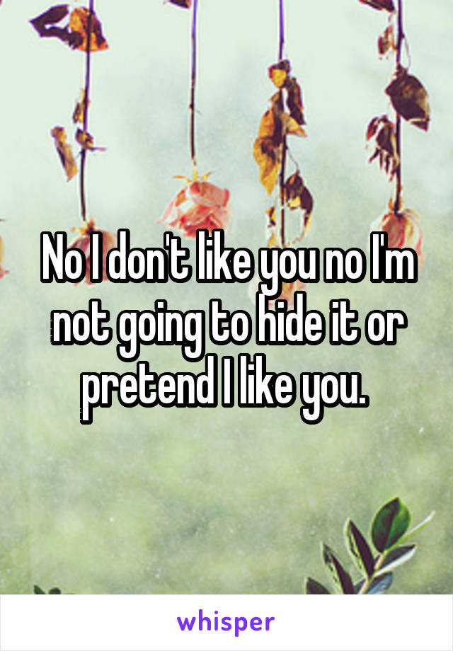 No I don't like you no I'm not going to hide it or pretend I like you. 