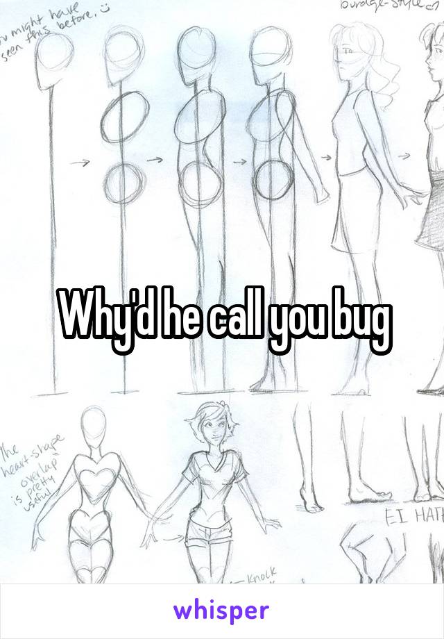 Why'd he call you bug