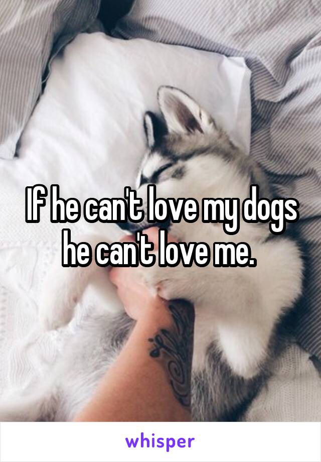 If he can't love my dogs he can't love me. 