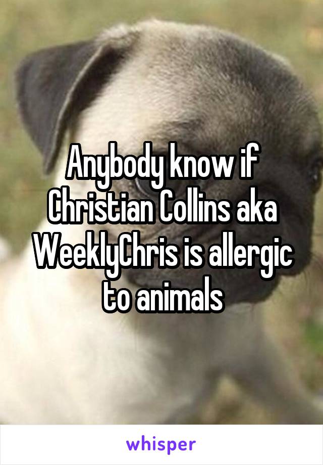 Anybody know if Christian Collins aka WeeklyChris is allergic to animals