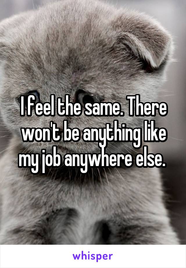 I feel the same. There won't be anything like my job anywhere else. 