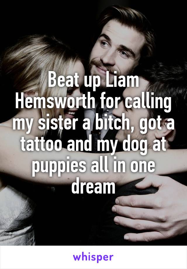 Beat up Liam Hemsworth for calling my sister a bitch, got a tattoo and my dog at puppies all in one dream