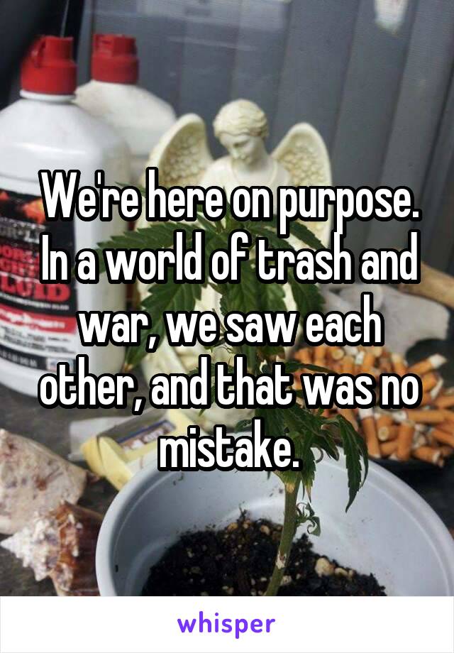 We're here on purpose. In a world of trash and war, we saw each other, and that was no mistake.