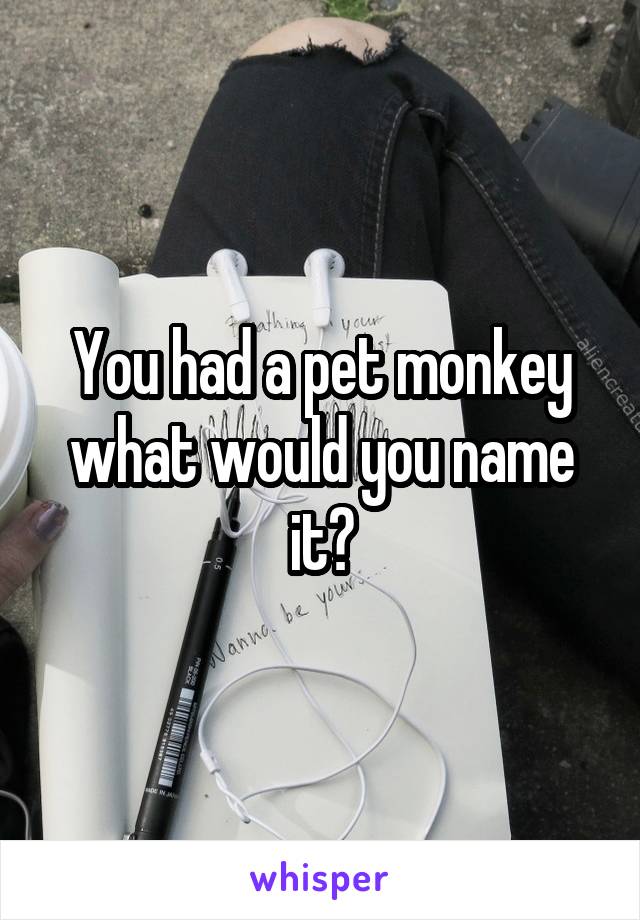 You had a pet monkey what would you name it?